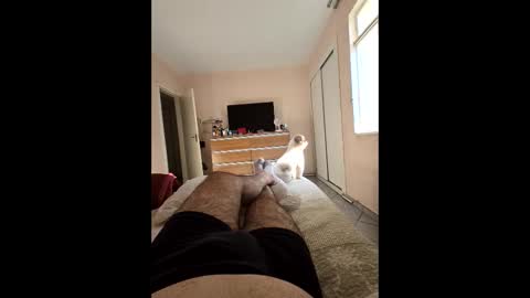 mysterbearmg online show from September 27, 6:46 pm