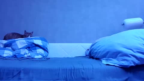 n3philim999 online show from October 12, 10:09 pm