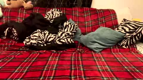 Snapshot of naked_for_fun chatting on December 15, 5:31 pm unable nkd life online show from December 15, 5:31 pm