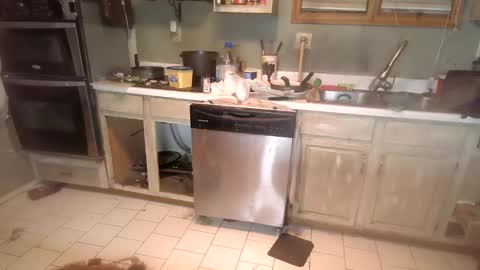 Snapshot of nakednate1780 chatting on December 6, 1:29 am nakednate1780 online show from December 6, 1:29 am