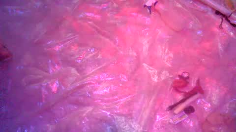 Snapshot of nakednate1780 chatting on December 23, 6:22 am nakednate1780 online show from December 23, 6:22 am