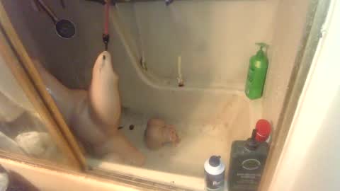 Snapshot of nakednate1780 chatting on February 6, 7:13 am nakednate1780 online show from February 6, 7:13 am