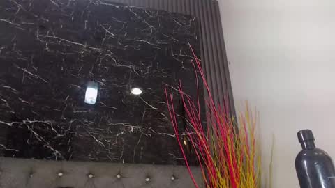 Snapshot of nalaroy chatting on January 10, 3:16 pm NALAROY online show from January 10, 3:16 pm