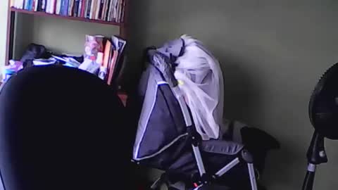 nana_666_ online show from November 17, 9:20 pm