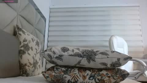 Snapshot of nana_levy chatting on February 23, 6:39 am Nana levy online show from February 23, 6:39 am