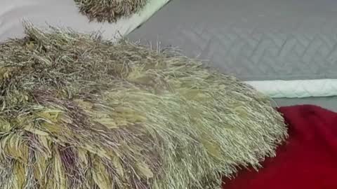 Naomy Smith online show from December 13, 11:06 pm