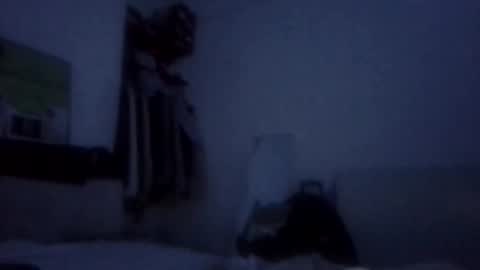 NarcoMarco online show from November 11, 9:15 pm