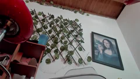 Nasha online show from October 26, 5:30 pm