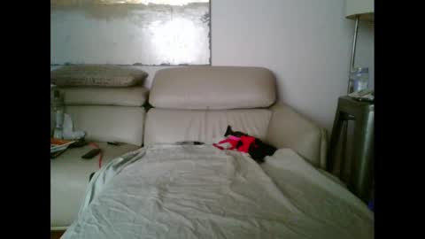 nassobout online show from October 12, 9:41 am