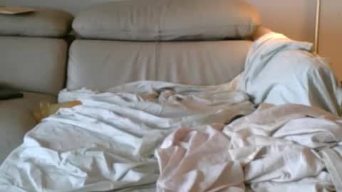 nassobout online show from December 14, 5:18 pm