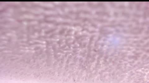 Snapshot of natalia_collinslim chatting on December 4, 3:26 am Natalia online show from December 4, 3:26 am