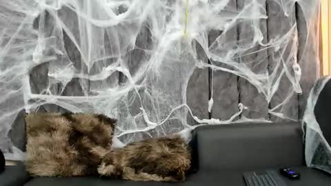 Snapshot of nathan_shimmer chatting on October 9, 10:52 pm nathan_shimmer online show from October 9, 10:52 pm