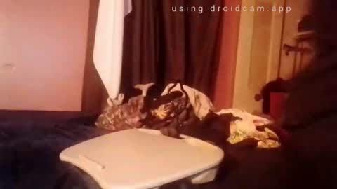 nathanbutler0 online show from November 1, 2:52 pm