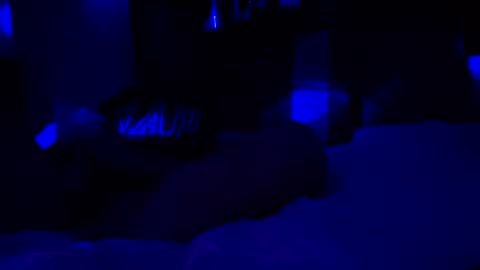 Haven online show from January 8, 9:22 am