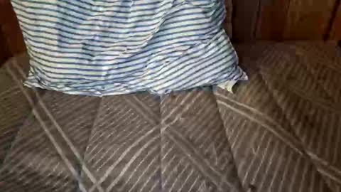 nativejoker_1995 online show from October 4, 9:13 pm