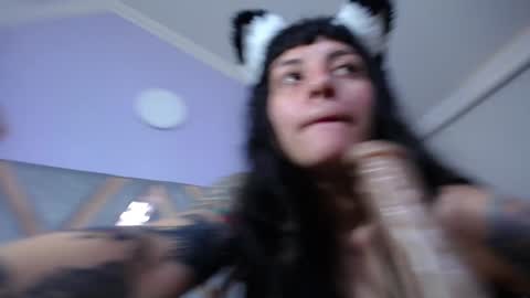 Kitten online show from January 31, 5:32 pm