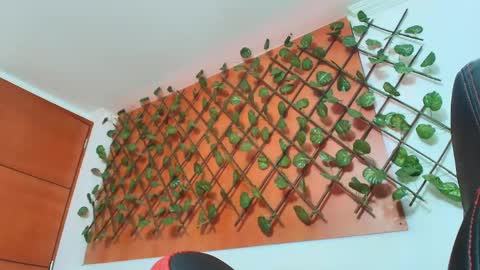 Kitten online show from April 14, 11:27 am