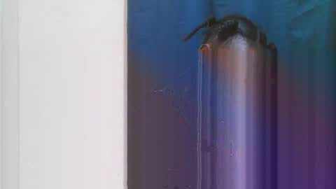 jn online show from March 28, 6:29 pm