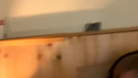 Naughtydaddy36 online show from November 30, 10:36 pm