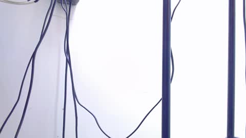 NAZPER online show from February 27, 10:37 am