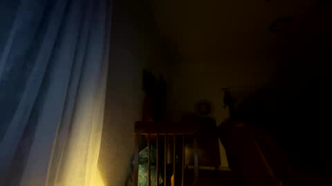 nboss55 online show from October 8, 5:16 am