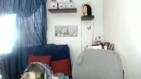 Star  online show from January 24, 10:08 pm