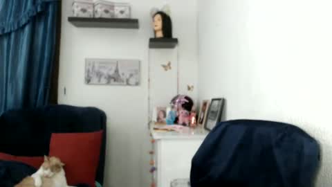 Star  online show from February 27, 12:10 am