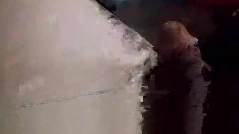 Snapshot of neverseentthatb4 chatting on November 23, 9:03 pm Matt online show from November 23, 9:03 pm