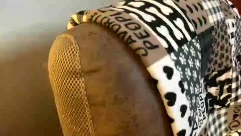 neverwinter44 online show from March 9, 6:06 am