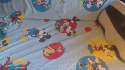 Lilly  online show from October 23, 2:38 pm