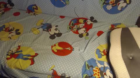 Lilly  online show from October 25, 3:03 am