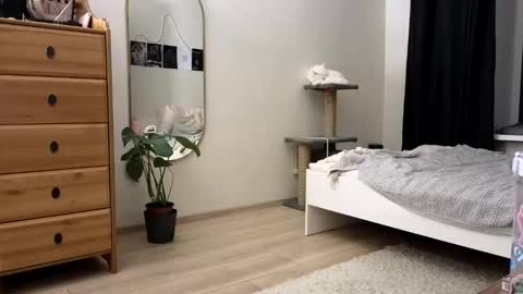 Nova online show from November 11, 4:18 pm