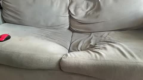 Snapshot of nhcam chatting on December 7, 11:51 am NH online show from December 7, 11:51 am