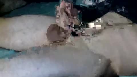 Nick online show from October 12, 11:20 am