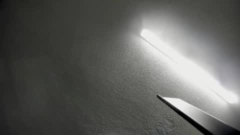 nicohillx online show from January 19, 5:00 am