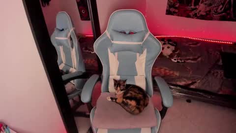 Nicol independent model online show from January 14, 2:29 am