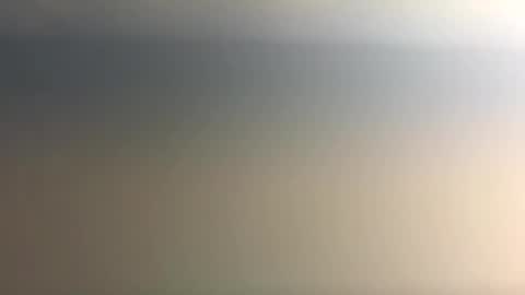 Nicoll  Independent model online show from December 21, 6:09 am