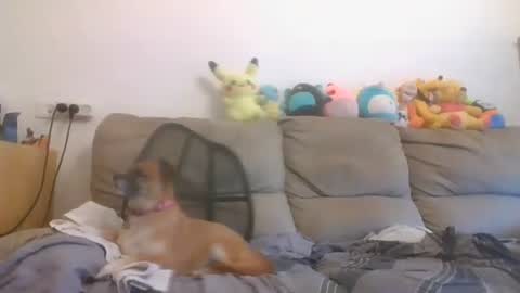 Brian and Logan Brogan online show from October 16, 6:36 am