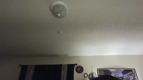 Snapshot of nikkimasters1091 chatting on February 25, 2:00 pm Nikki Mastersgirl1091 online show from February 25, 2:00 pm