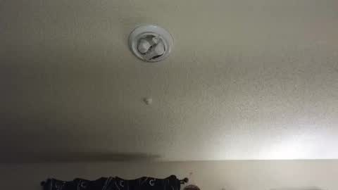 Snapshot of nikkimasters1091 chatting on November 27, 12:29 pm Nikki Mastersgirl1091 online show from November 27, 12:29 pm