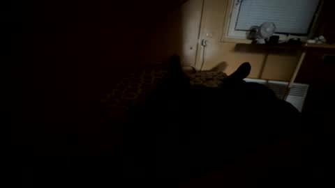 Nikk online show from September 20, 8:37 am