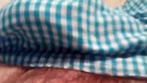 nipbulge online show from December 5, 6:00 am