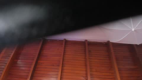 Sara  online show from January 18, 4:31 pm