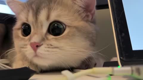 Snapshot of nochnoye_soltse chatting on February 20, 8:25 pm Sun or Luna online show from February 20, 8:25 pm