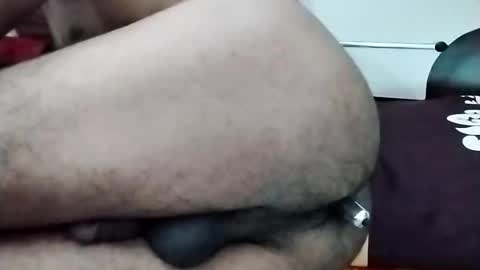 Snapshot of nooby942461 chatting on November 13, 11:42 am sim nib online show from November 13, 11:42 am