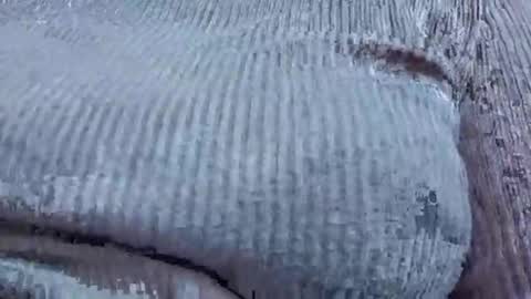 nora_roy246 online show from January 9, 2:58 am