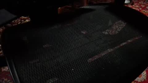 Snapshot of notjon069 chatting on November 19, 7:30 am notjon069 online show from November 19, 7:30 am