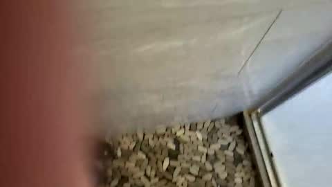 notme710 online show from December 22, 5:32 pm