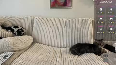 NotUrBabyMoms online show from December 24, 2:54 pm