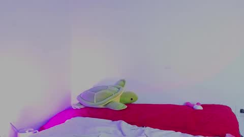 Channel Cox online show from February 11, 2:00 pm